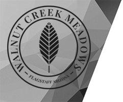 Walnut Creek Meadows - Flagstaff's Newest Gated Ranch Community